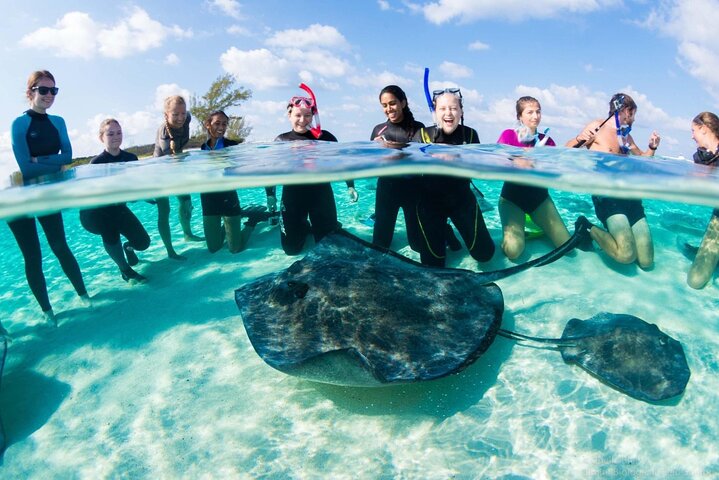 Bimini Bahamas